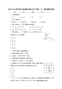 2022-2023学年四川省成都市锦江区八年级（上）期末数学试卷（含解析）