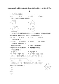 2022-2023学年四川省成都市青白江区七年级（上）期末数学试卷（含解析）