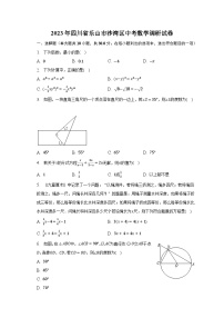 2023年四川省乐山市沙湾区中考数学调研试卷（含解析）