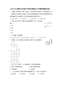 2023年云南师大实验中学昆明湖校区中考数学模拟试卷（含解析）