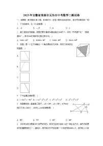 2023年安徽省芜湖市无为市中考数学三模试卷（含解析）