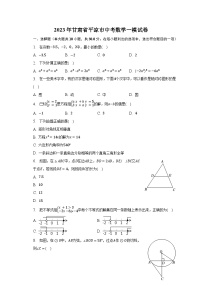 2023年甘肃省平凉市中考数学一模试卷（含解析）