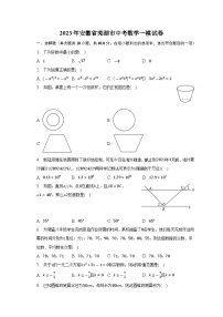 2023年安徽省芜湖市中考数学一模试卷(含答案)