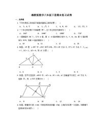 2022-2023学年湘教版数学八年级下册期末复习试卷