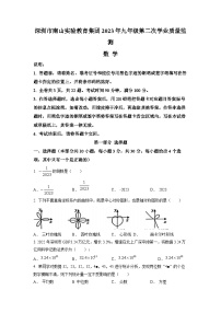 2023年广东省深圳市南山实验教育集团中考二模数学试题