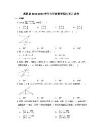 +2022-2023学年冀教版七年级数学下册期末复习试卷