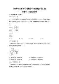 2023年山东省中考数学一模试题分项汇编  专题03  几何图形初步