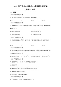 2023年广东省中考数学一模试题分项汇编  专题03  函数