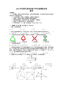 2023年湖南省长沙市长郡外国语实验中学中考全真模拟考试数学试题（三模）