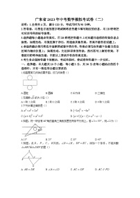 2023年广东省河源市连平县中考二模数学试题