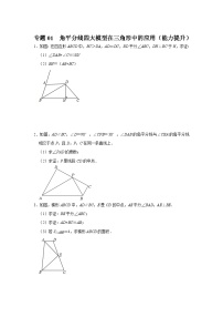 专题01  角平分线四大模型在三角形中的应用（能力提升）-备战中考数学《重难点解读•专项训练》（全国通用）