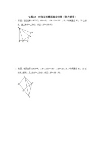 专题05 对角互补模型综合应用（能力提升）-备战中考数学《重难点解读•专项训练》（全国通用）