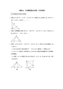 专题06 半角模型综合应用（专项训练）-备战中考数学《重难点解读•专项训练》（全国通用）