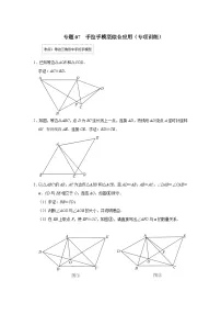 专题07 手拉手模型综合应用(专项训练)-备战中考数学《重难点解读•专项训练》(全国通用)