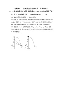 专题10  二次函数交点综合应用（专项训练）-备战中考数学《重难点解读•专项训练》（全国通用）