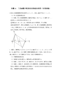 专题11  二次函数中矩形存在性综合应用（专项训练）-备战中考数学《重难点解读•专项训练》（全国通用）