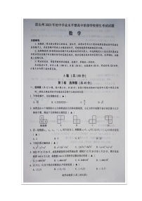 2023年四川省凉山州中考数学真题