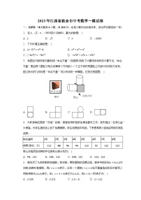 2023年江西省新余市中考数学一模试卷（含解析）