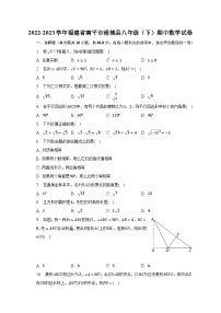 2022-2023学年福建省南平市浦城县八年级（下）期中数学试卷（含解析）