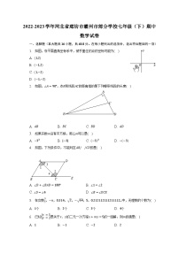 2022-2023学年河北省廊坊市霸州市部分学校七年级（下）期中数学试卷（含解析）