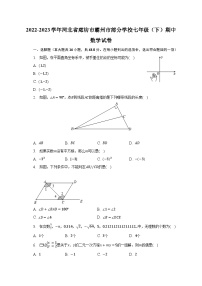 2022-2023学年河北省廊坊市霸州市部分学校七年级（下）期中数学试卷-普通用卷