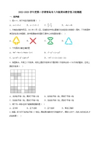 2022-2023学年度第二学期青岛市北师大版八年级下册期末数学复习检测题(含解析)