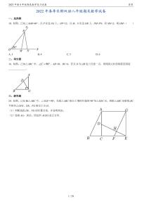 2023年春长沙四大名校集团8年级期末数学复习试卷压轴题