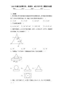2023年湖北省黄冈市、孝感市、咸宁市中考三模数学试题（含解析）