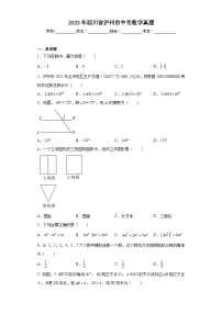2023年四川省泸州市中考数学真题(含解析)