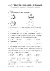 2023年广东省惠州市惠东县吉隆实验学校中考三模数学试题（含解析）