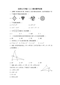 北师大版八年级上册数学期末试卷3（含答案）