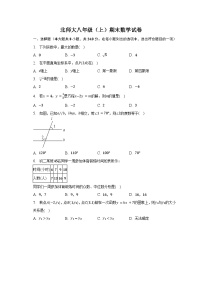 北师大版八年级上册数学期末试卷1（含答案）