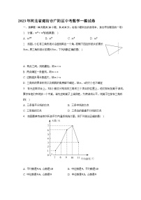 2023年河北省廊坊市广阳区中考数学一模试卷(含答案)