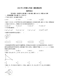 2023年湖南省长沙市雅礼实验中学中考二模数学试题(含答案)