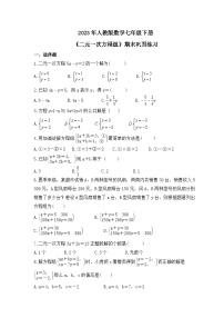 2023年人教版数学七年级下册《二元一次方程组》期末巩固练习（含答案）
