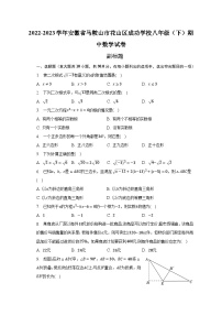 2022-2023学年安徽省马鞍山市花山区成功学校八年级（下）期中数学试卷（含解析）