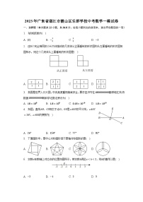 2023年广东省湛江市霞山区乐群学校中考数学一模试卷(含解析）