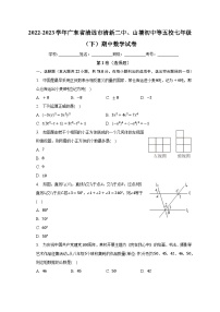 2022-2023学年广东省清远市清新二中、山塘初中等五校七年级（下）期中数学试卷（含解析）