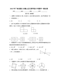 2023年广东省湛江市霞山区乐群学校中考数学一模试卷（含解析）