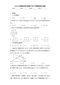 2023年福建省福州杨桥中学中考模拟数学试题（含解析）