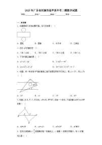 2023年广东省河源市连平县中考二模数学试题（含解析）