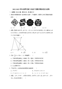 2022-2023学年北师大版八年级下册数学期末复习试卷(含解析)