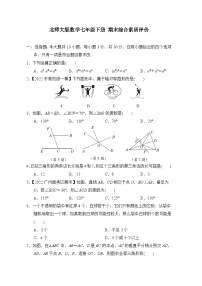 2022-2023学年北师大版七年级数学下册期末综合素质评价(含答案)