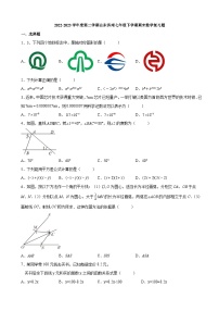 2022-2023学年度第二学期山东济南七年级下学期期末数学复习题原题