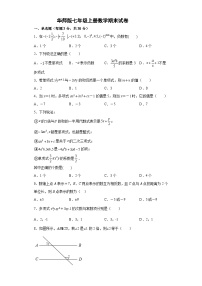 华东师大七年级上册数学期末试卷