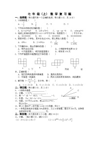 北师大七年级数学上期末复习题