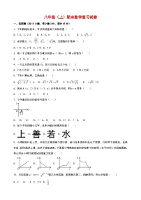 北师大八年级上数学期末试卷-1