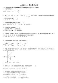 北师大八年级上数学期末试卷-3