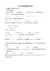 北师大八年级上数学期末试卷-4