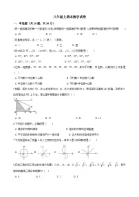 北师大八年级上数学期末试卷-5